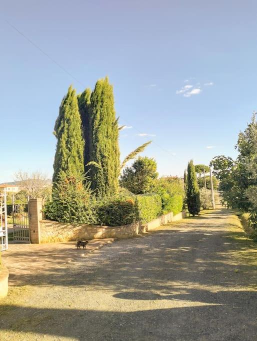 Villetta Rio, Large Private Garden Чечина Екстериор снимка